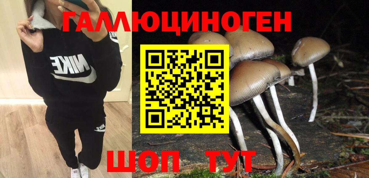 Касимов  Псилоцибиновые грибы мицелий  закладка  Вход с VPN 